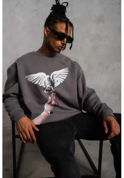 Erkek Güvercin Baskılı Sweatshirt - Gri